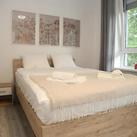 Apartman Volk *